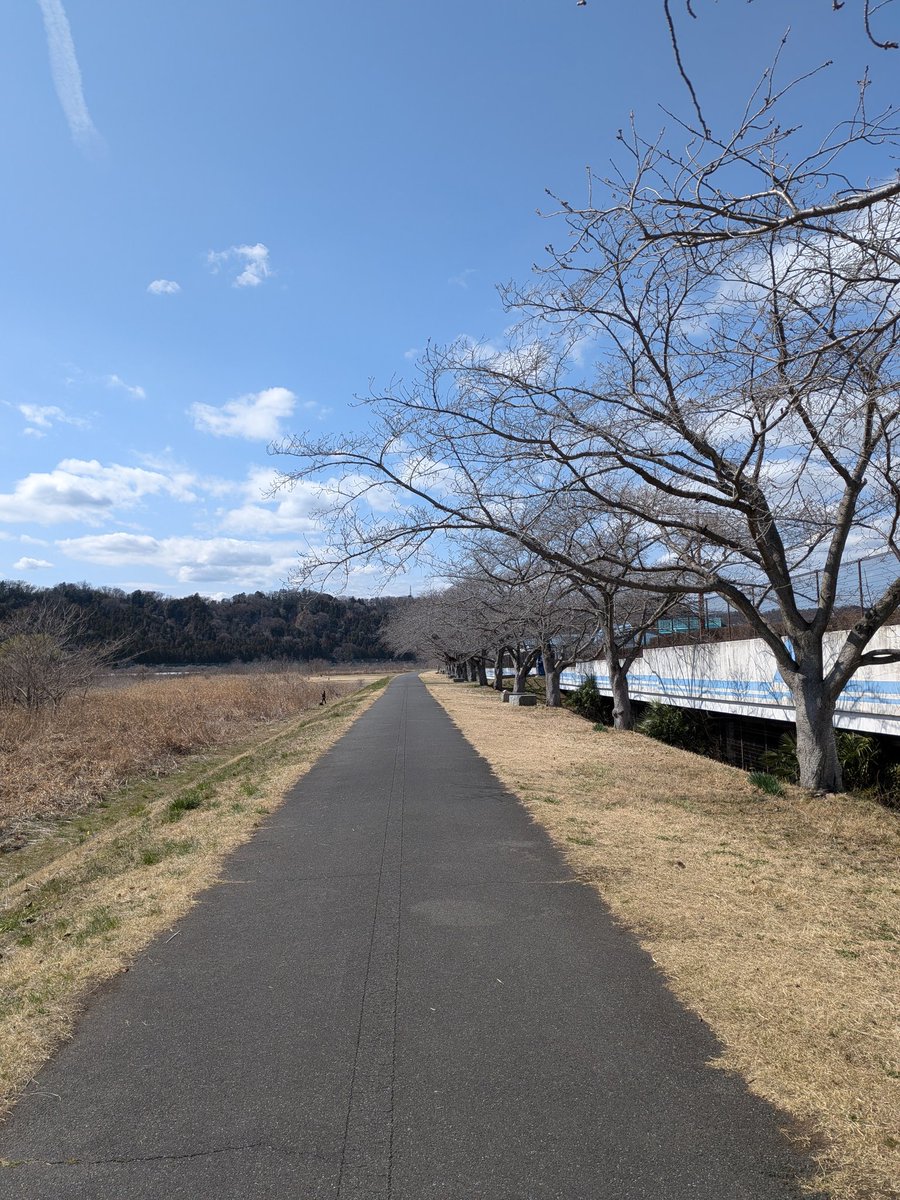 NEW麦茶 tweet media