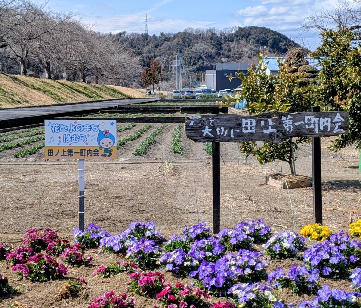 NEW麦茶 tweet media