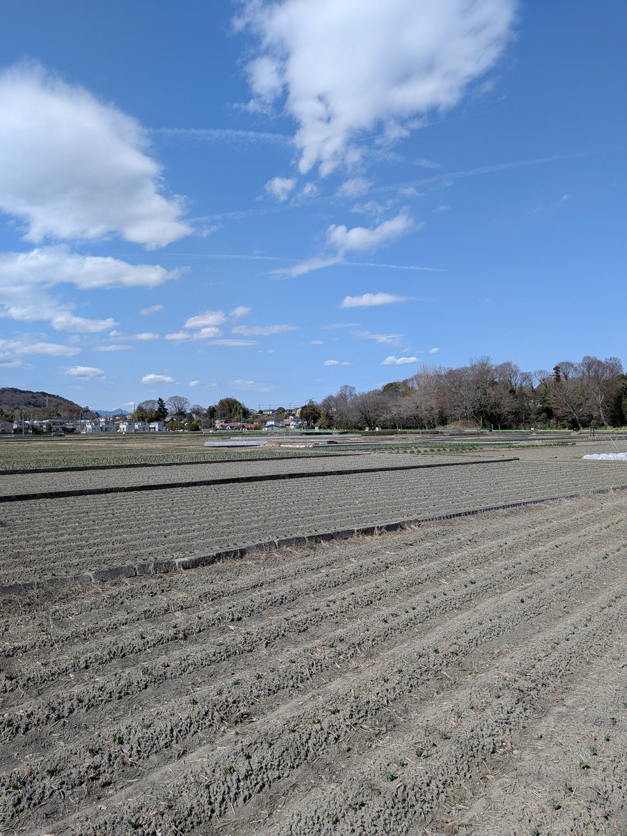 NEW麦茶 tweet media