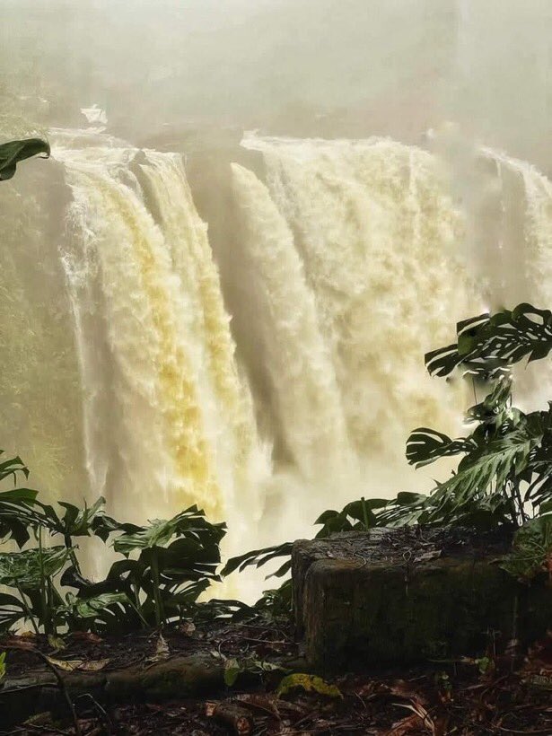 Scott Katsura tweet media