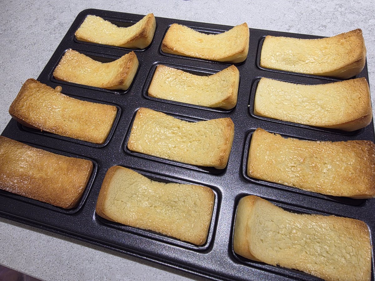 김뇽뇽 tweet media