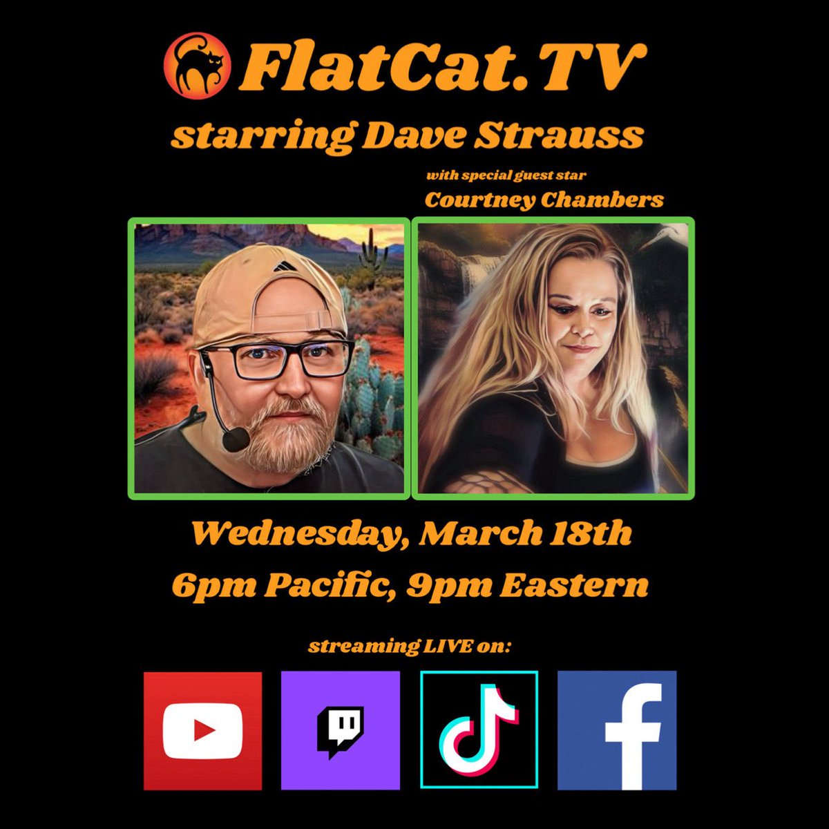 Flat Cat TV tweet media