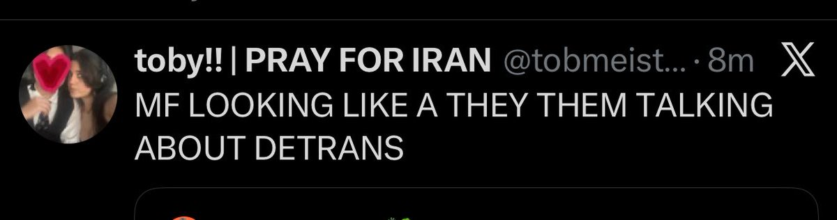 Maia Poet🦎 tweet media