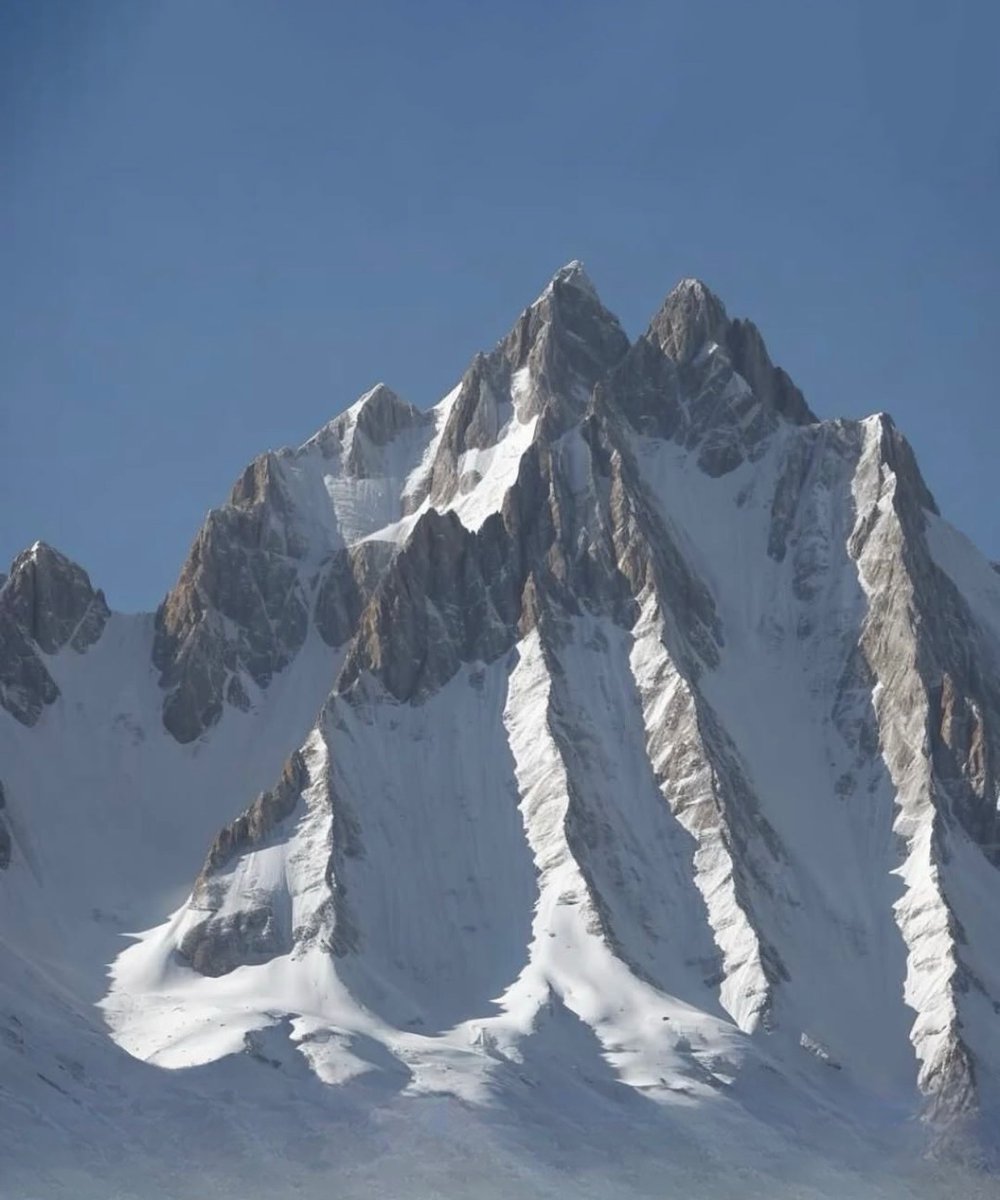 Hania Batool tweet media