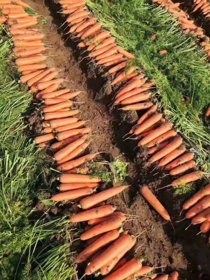 unnusal_ wahlnes Trading Advisor tweet media