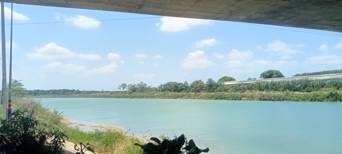 ชายแท้นะ ทำแต่งาน นัดต้อนวางเท่านัน tweet media