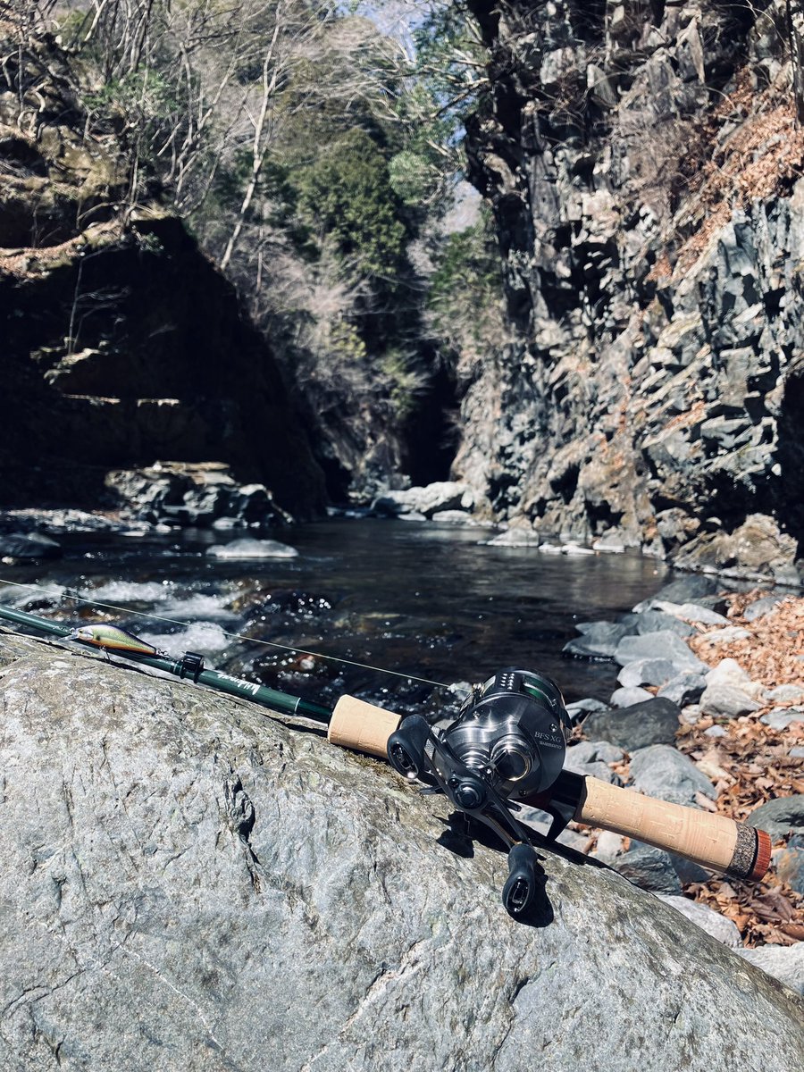 きんぐサーモンP tweet media