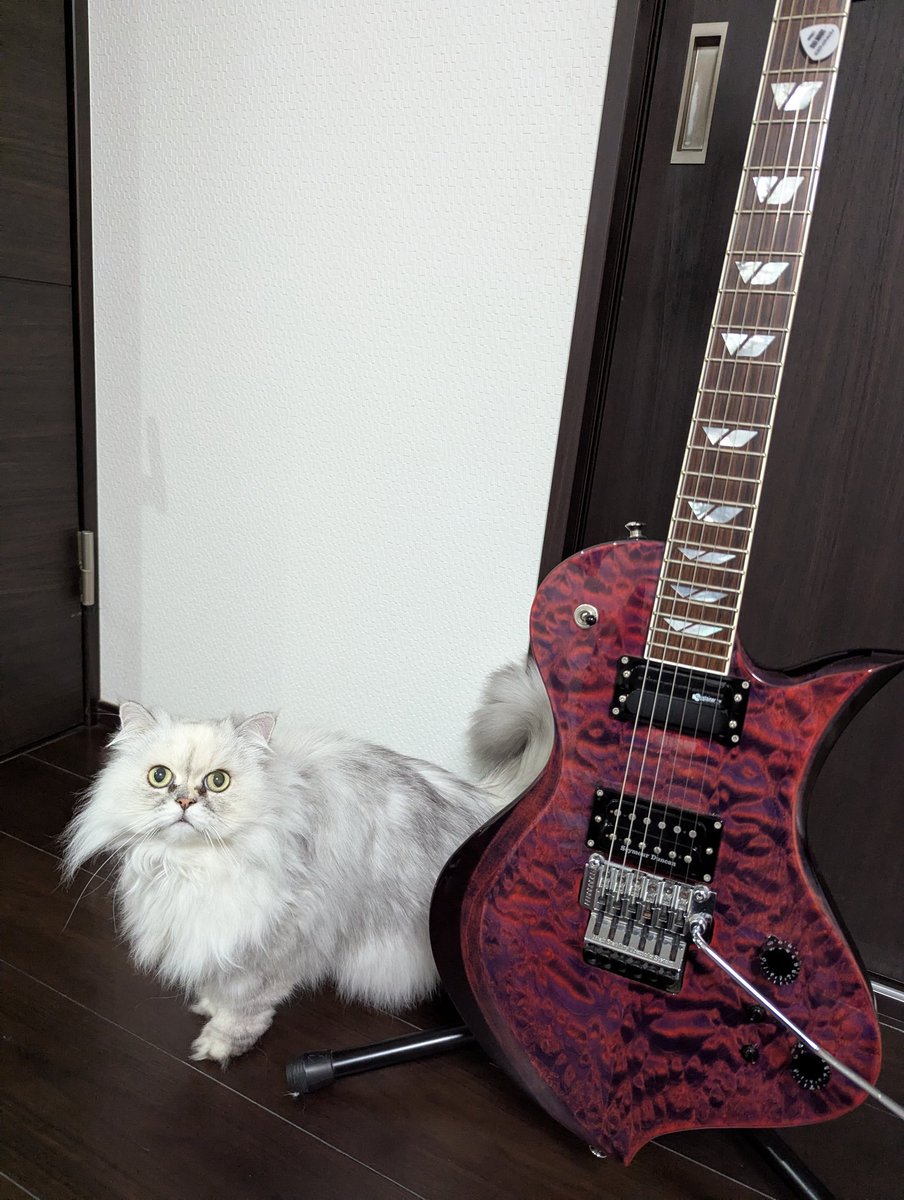 このギターとアタシが同じ値段ですって！？

一億くらいかしら？