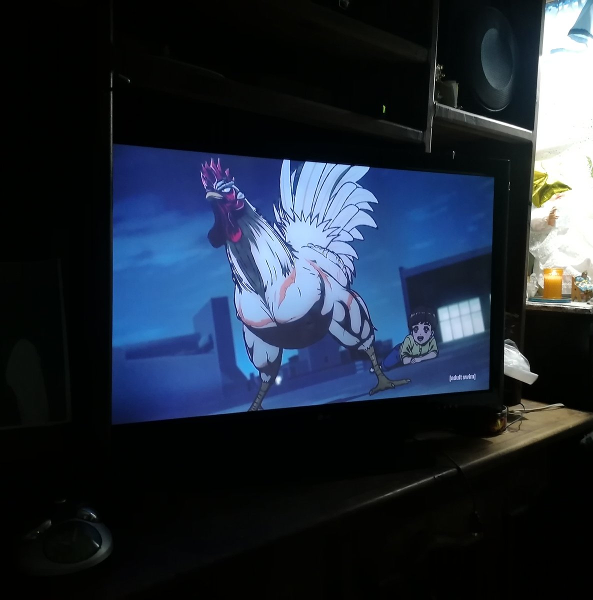 HesseSared's tweet photo. Me estaba poniendo de nervios que la señal del Izzi estuviera fallando minutos antes de comenzar, pero se arregló justo a tiempo.

¡Felicidades, sensei, por el estreno! ¡Estamos orgullosos de usted! ¡¡Es nuestro mero gallo!! 🥳🍻

#RoosterFighter #niwatorifighter
@shu_sakuratani https://t.co/ZNyGC5xig8
