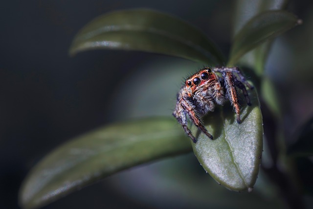 Rebecca Norman tweet media