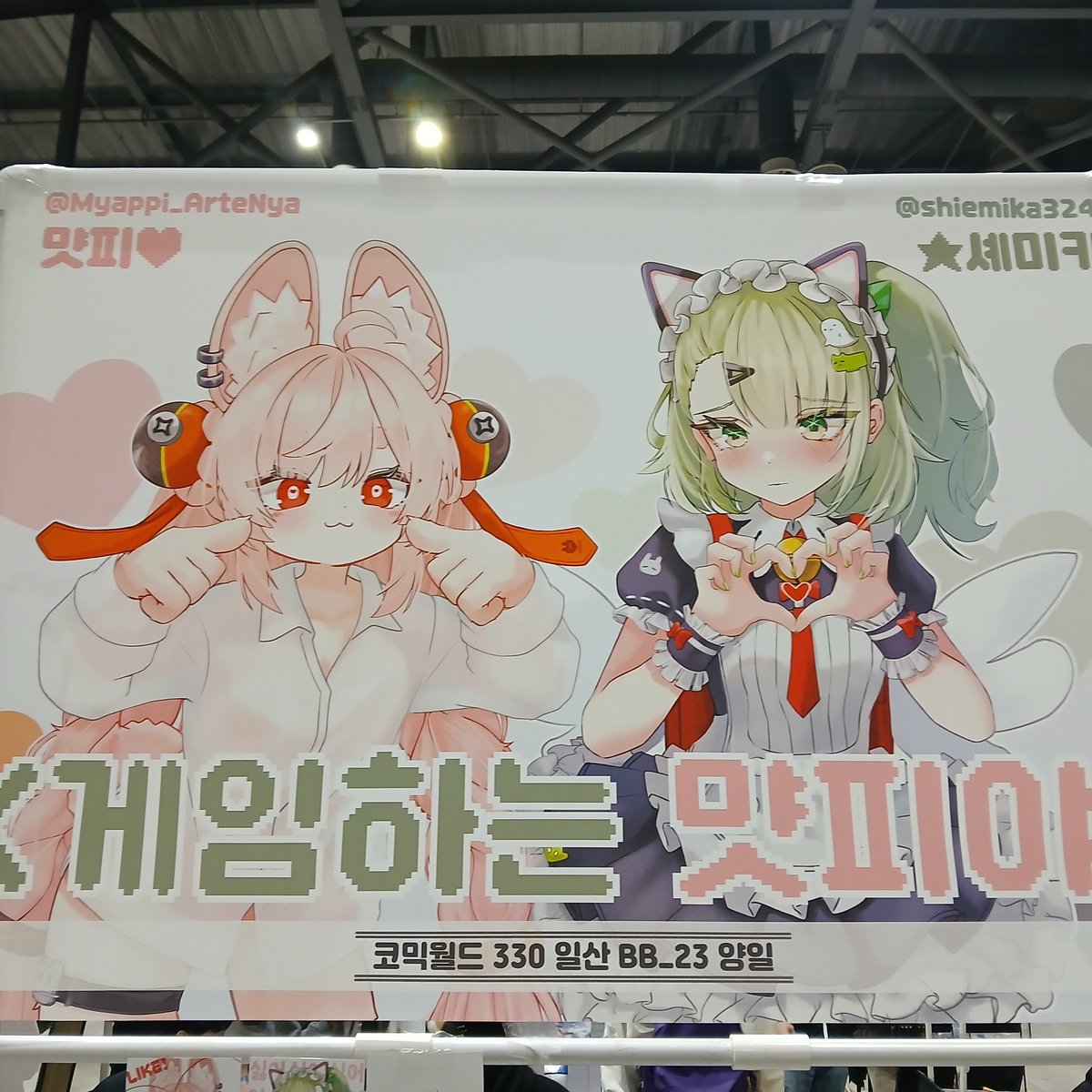 みゃっぴ tweet media