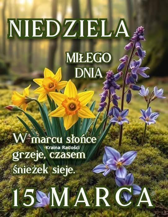 stas1948's tweet photo. Witam serdecznie 
Życzę Wam Wszystkim jak najpiękniejszych chwil w życiu osobistym rodzinnym przyjacielskim zawodowym 
Życzę Szczęśliwego radosnego wspaniałego udanego każdego Dnia 
Serdecznie pozdrawiam https://t.co/qNaLhNtfsd
