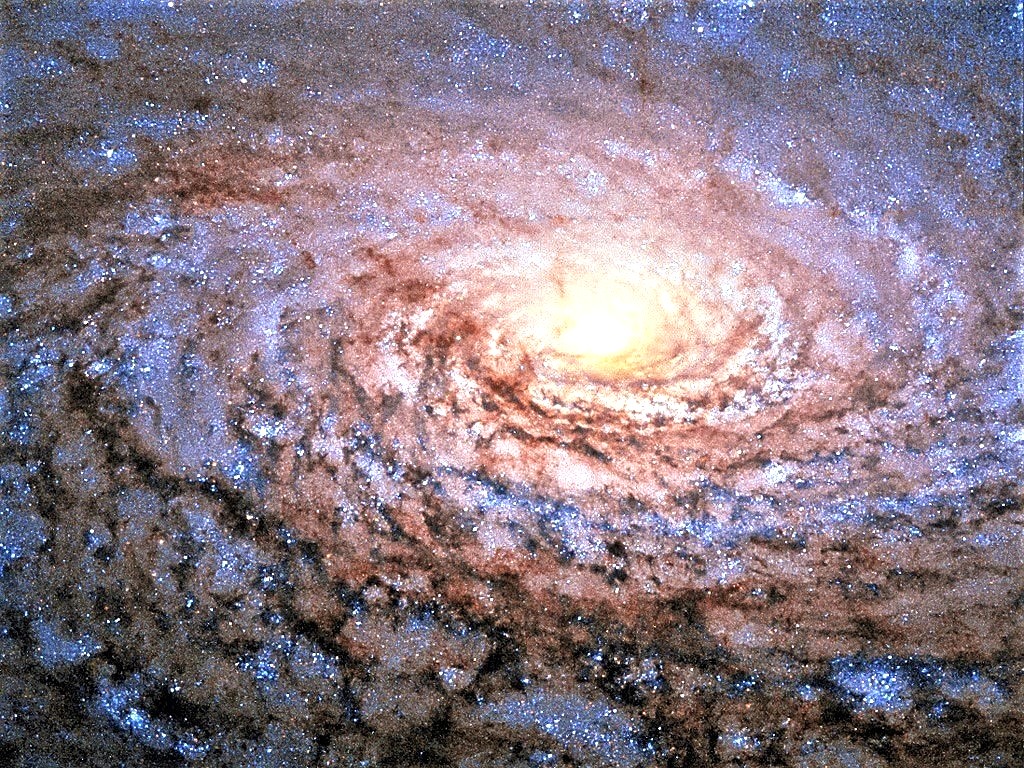 StarsAndScopes tweet media