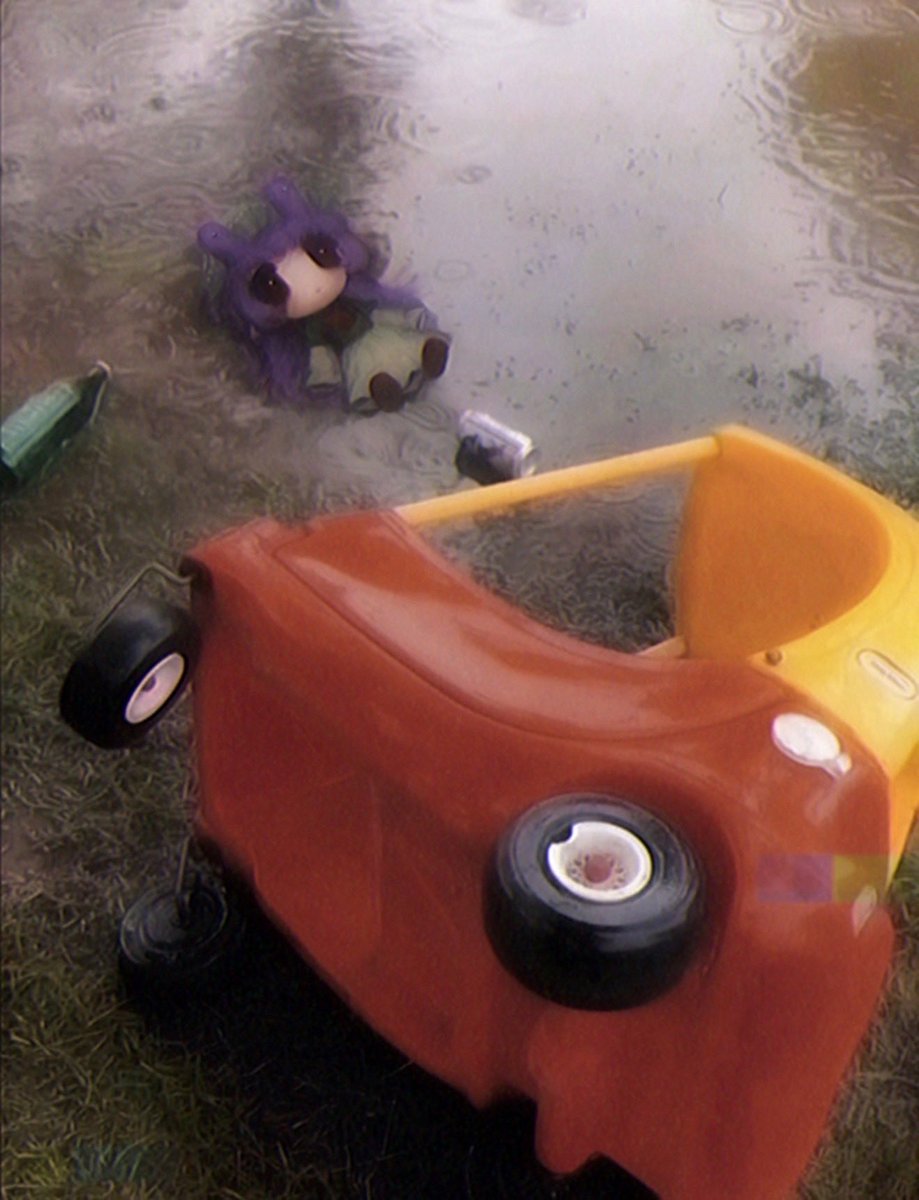 molly 🐌 tweet media