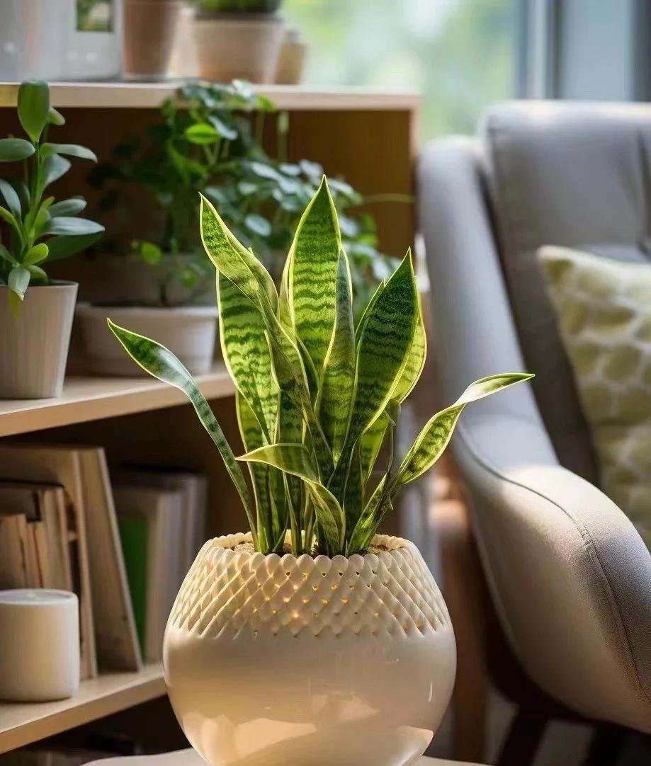 Ylanmis Zournrpencs tweet media