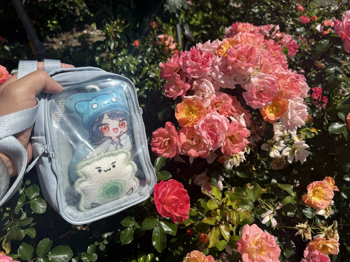 米蘭達 tweet media