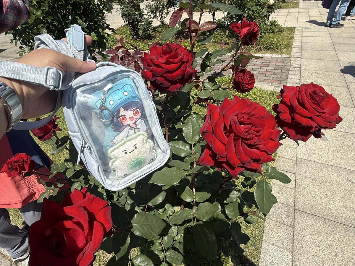 米蘭達 tweet media