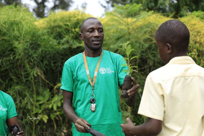 phiona_nam53267's tweet photo. Today we highlight the work of @GoodForestsUg , an initiative restoring Uganda’s green cover one tree at a time

Operating in Uganda since 2018, the organization (formerly FairVentures Worldwide) promotes afforestation, reforestation, and agroforestry

With 2.2+ million trees planted across 22 districts, their work continues to restore degraded land while strengthening community livelihoods under the leadership of Director @JamesThembo_ 

#RestoringForests