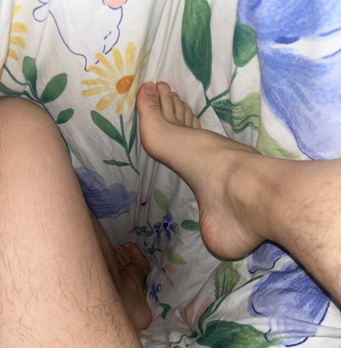 山山猴喜熊 tweet media