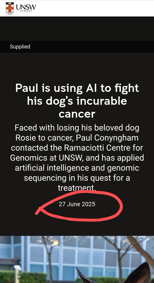 🩵BlueBeba🩵 tweet media