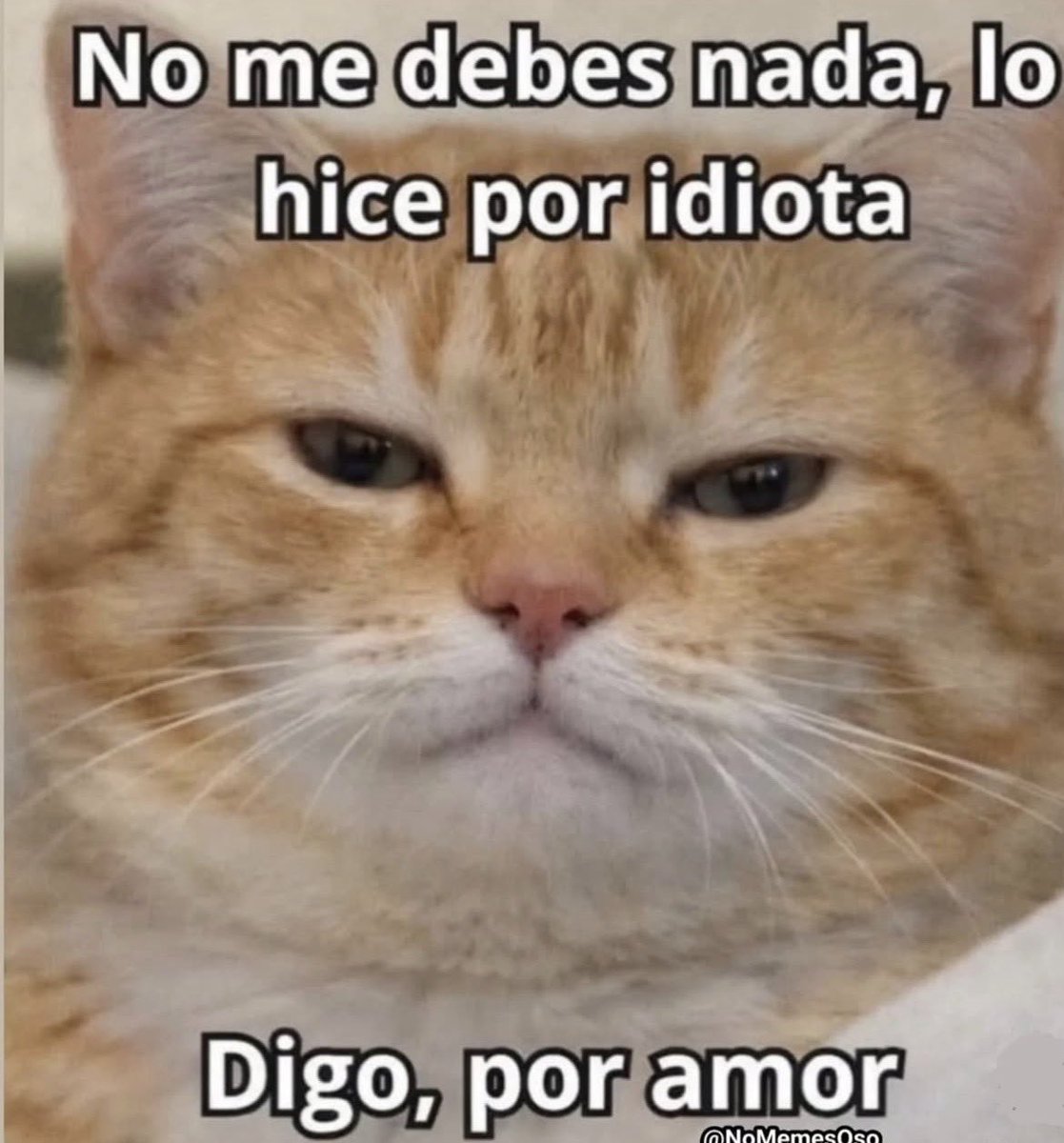 Sor Mercenaria 🧨 tweet media