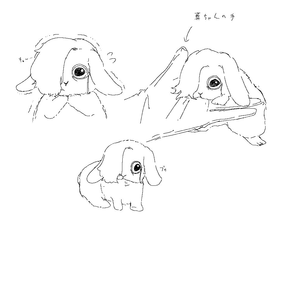 豆太郎 tweet media