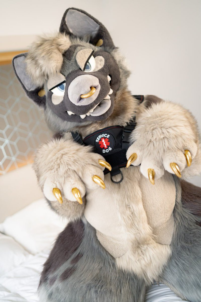 TABBY 🔜 LVFC tweet media