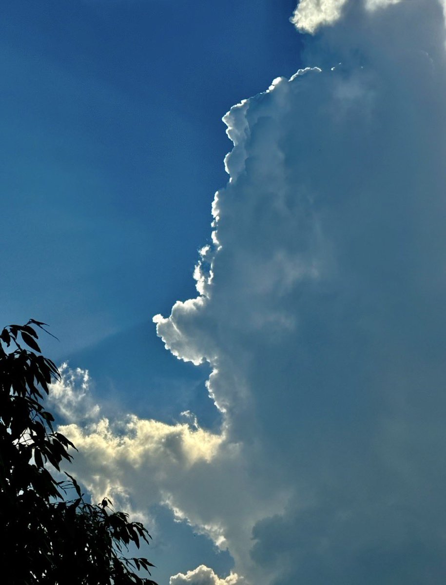 Adil Nargolwala tweet media