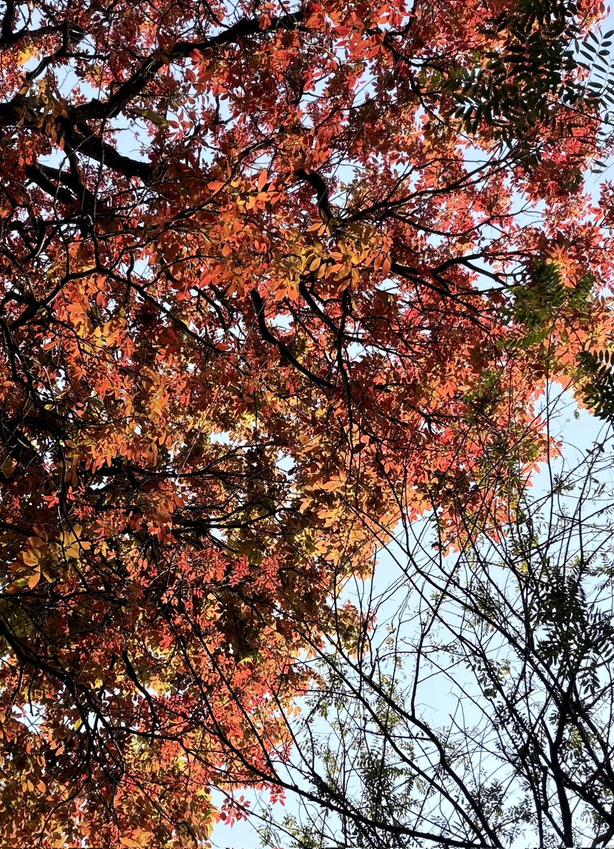 s/vani's birthday month tweet media