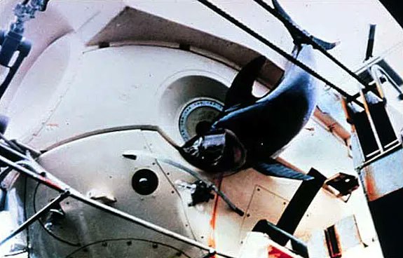 VisionaryVoid tweet media