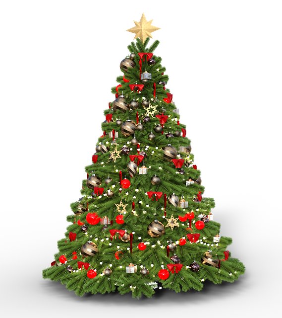 Linda Mckenzie tweet media