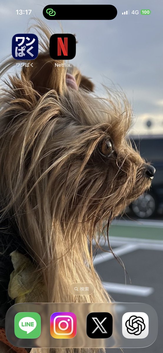 onepack_master's tweet photo. 壁紙ランダムにしたら、イケメンくんが出勤してきた🐾

#ヨークシャーテリア
#リアン
#犬のいる暮らし https://t.co/VvrGAhu781