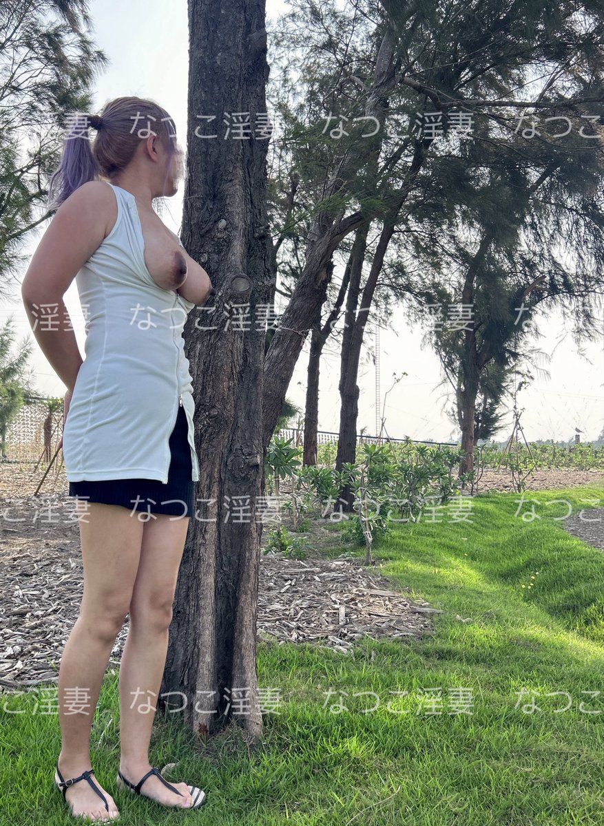 なつこ淫妻 tweet media