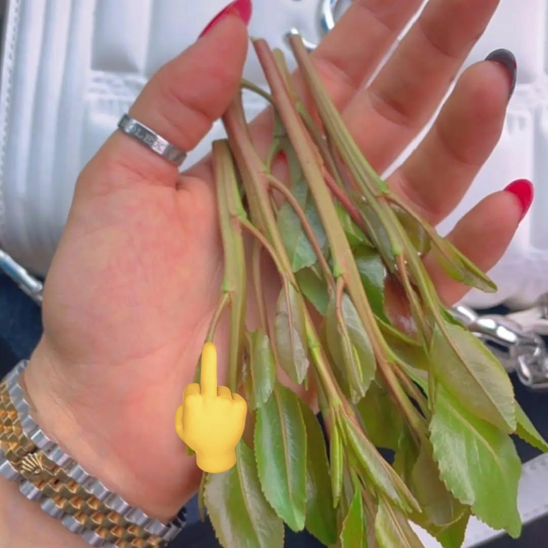 nm_tm51703's tweet photo. والله قدنفسي انزل البحر التذكرت ايام زمان وهم معي حبايب قلبي 
لاتنسى ماتتصلي طمني عليك في انتظارك 😘
782857021 https://t.co/nla5iQA4AM