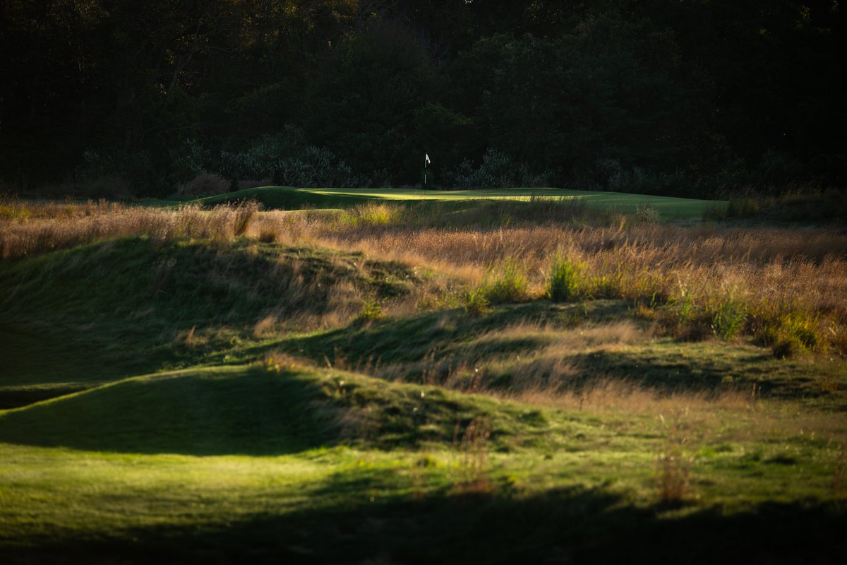 Patrick Koenig tweet media