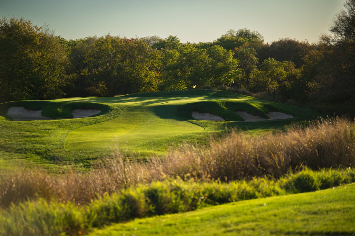 Patrick Koenig tweet media