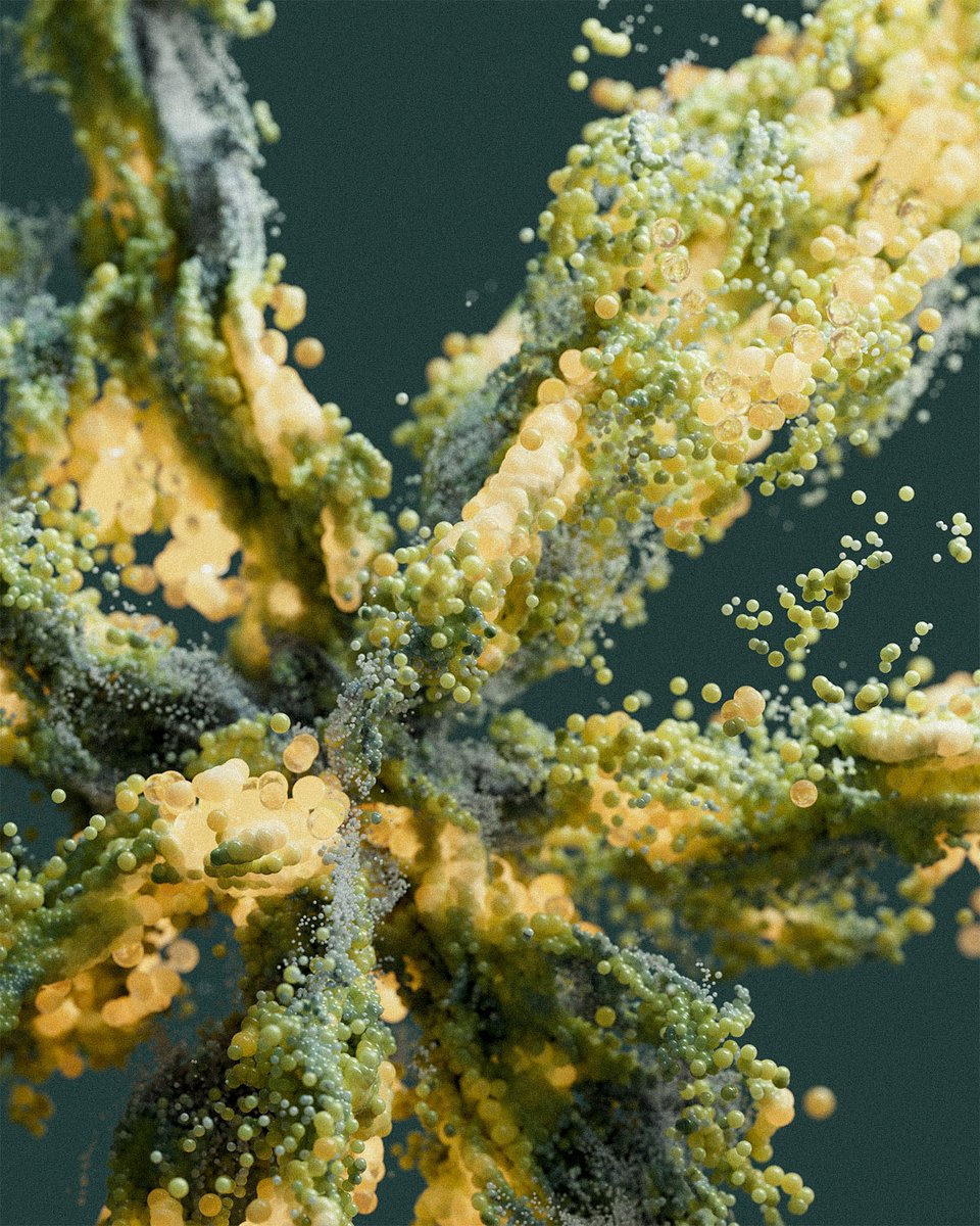 Raw & Rendered tweet media