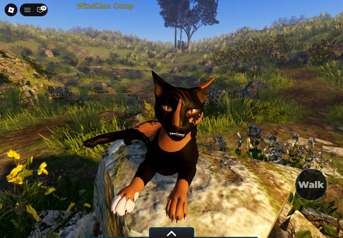 DOGEMR1002's tweet photo. @vinxtry I’d gotten a goofy picture and a serious picture of my warrior oc https://t.co/MA9pccbzBS
