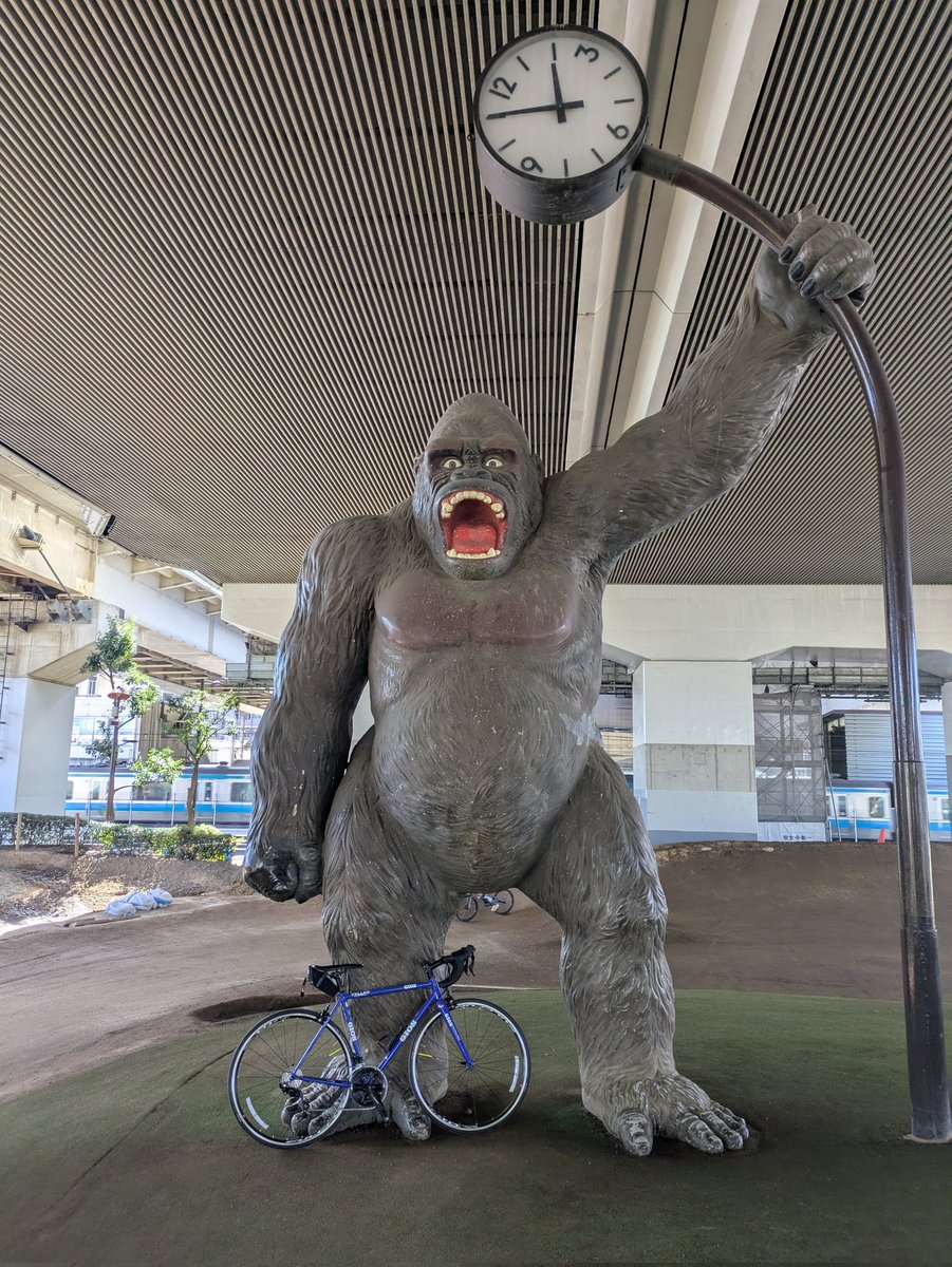 bcmaker59's tweet photo. じゃないほう(？)のゴリ活👍 https://t.co/SNzvqOOD0H