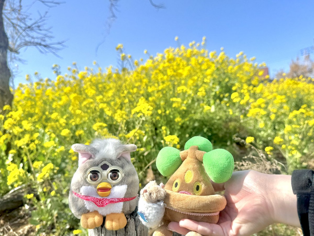 ﾊﾙ~🌼

ｳｿ~🐝⋆゜