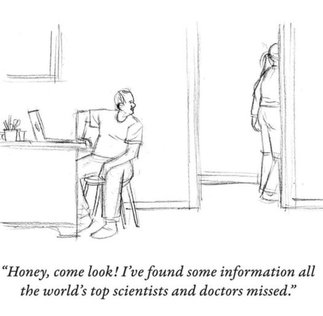 carnotengine 💻🇧🇷 tweet media