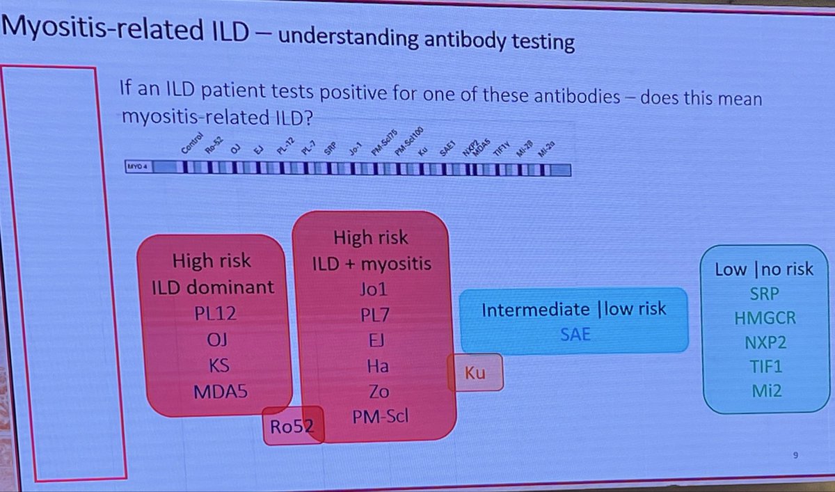 ILLIASUL IBAD tweet media