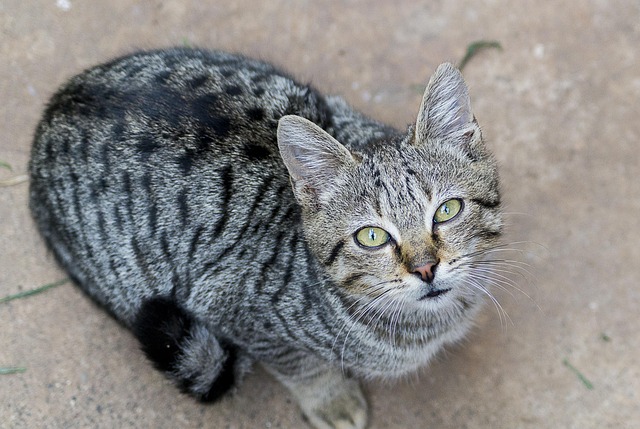 Jackie Harr tweet media