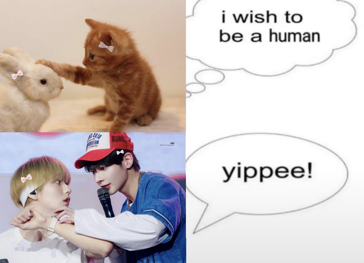 #신뢰즈 #숩텬 #taebin