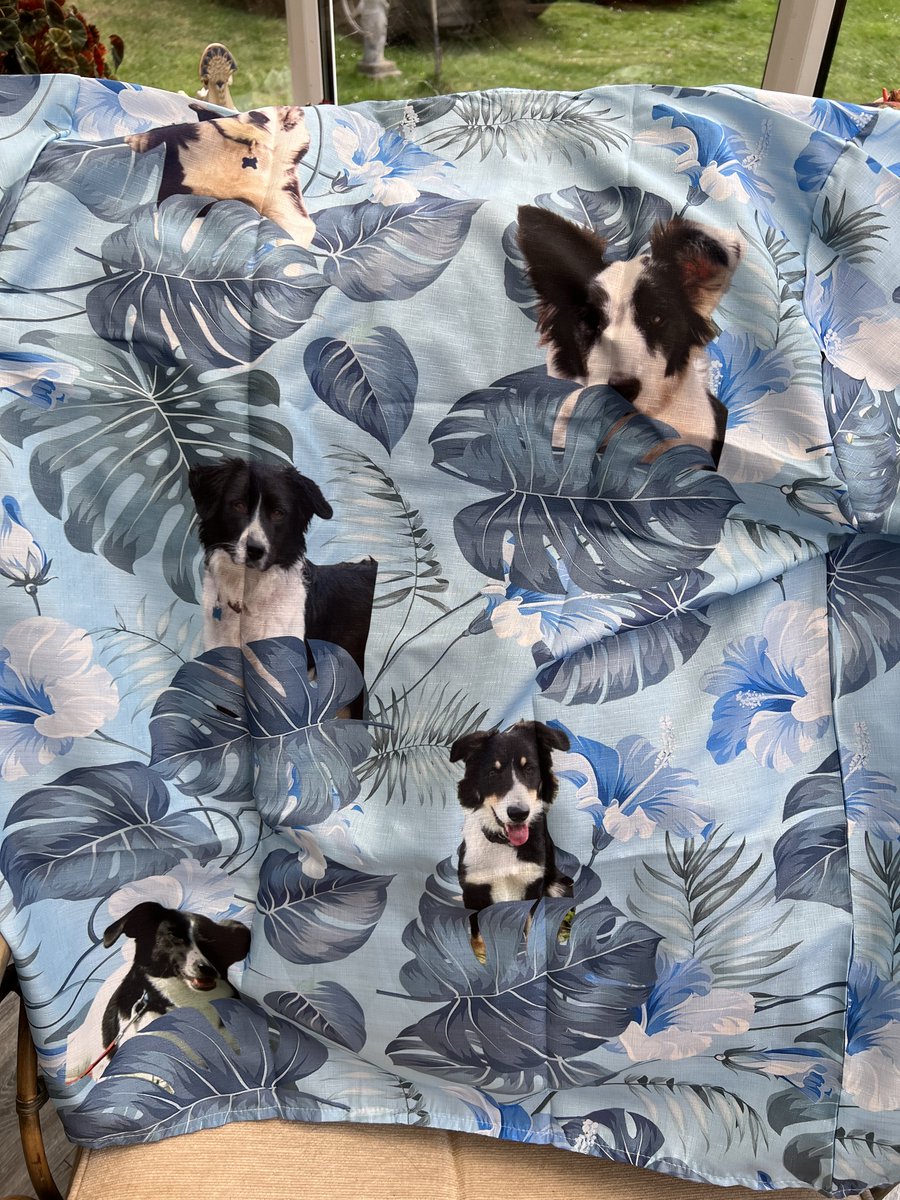 Kernow Life tweet media