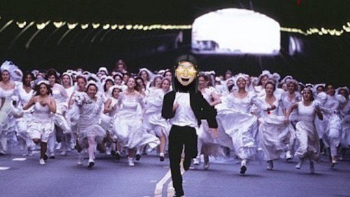 for 🐹 tweet media