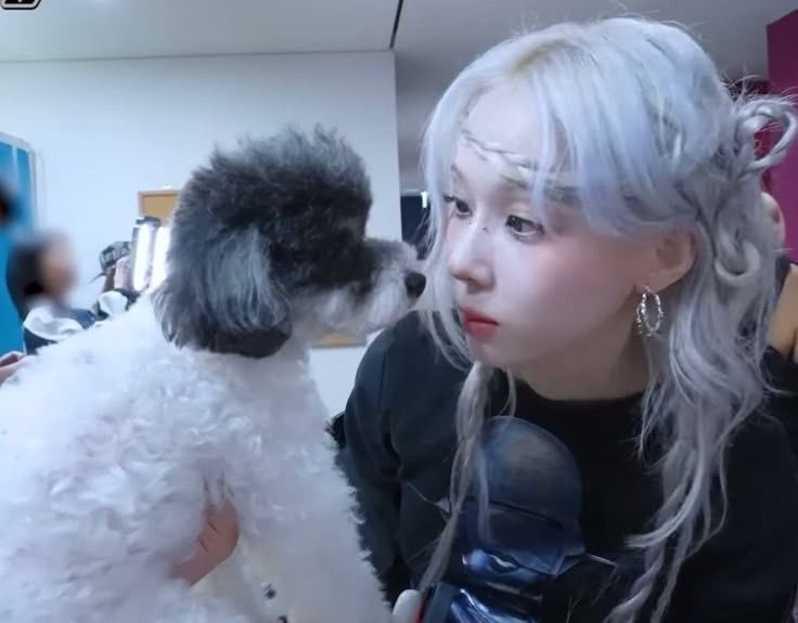 mnjdon's tweet photo. 누가 강아지인지 모르게따 😅 https://t.co/cjYQ3IJ3ym