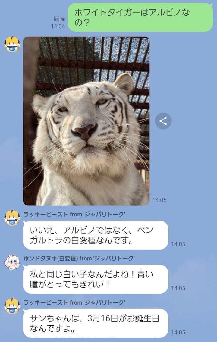 ジャパリトーク【公式】 tweet media