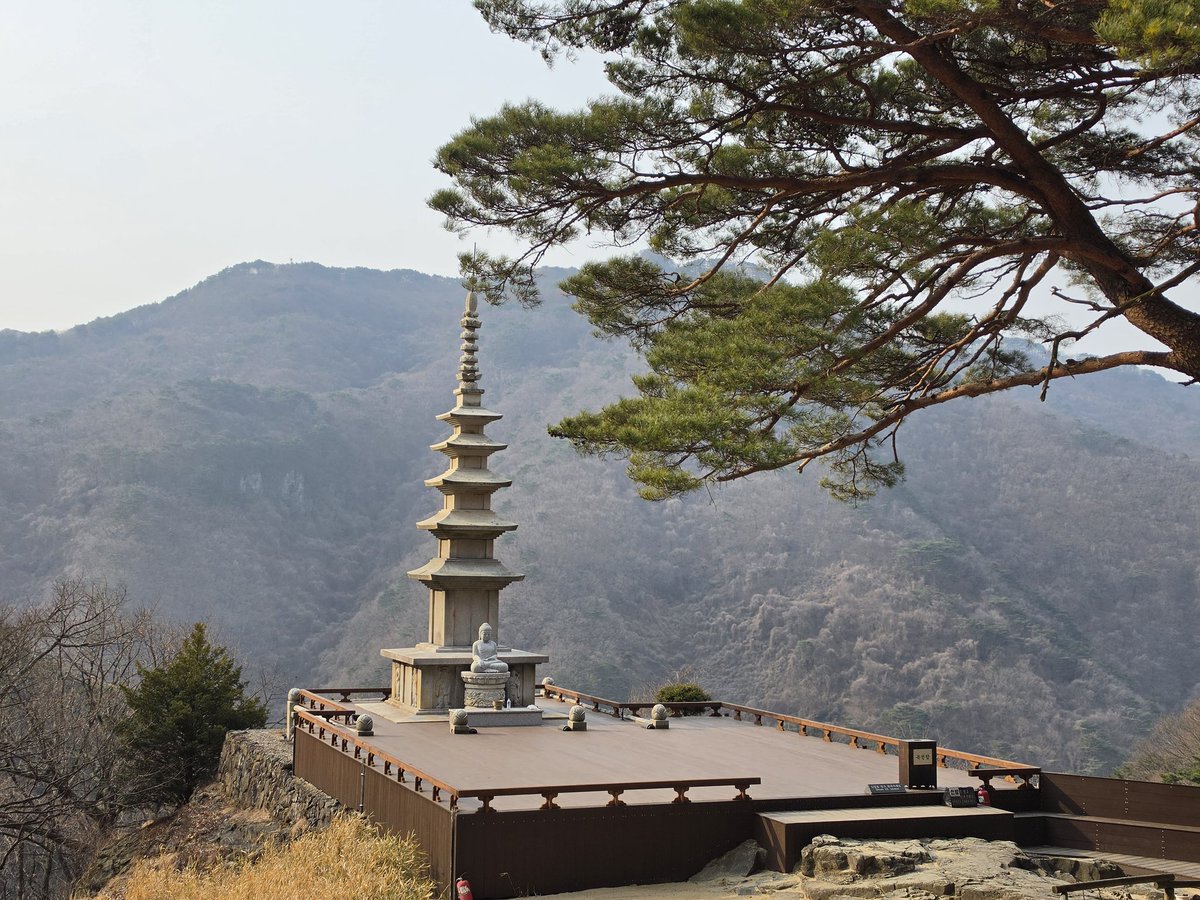 청량사 드디어 가봣따!💕💕
원래는 절에만 갈생각이엿는데
동생이 정상가야된다고...결국 산행..🥹
무릎이..다리가...내 다리가 아니에요...