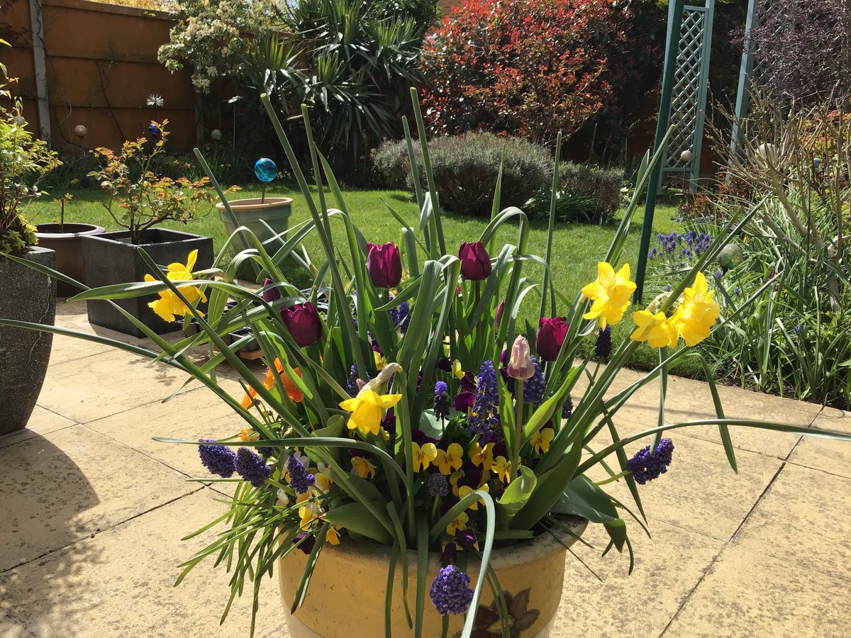 Ian Gould #cep tweet media